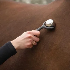Rouleau de massage chevaux QHP