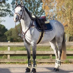 Sangle anatomique Ontario QHP