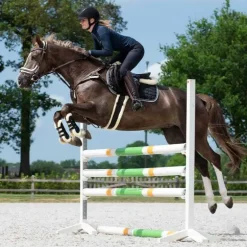 Sangle anatomique Ontario QHP