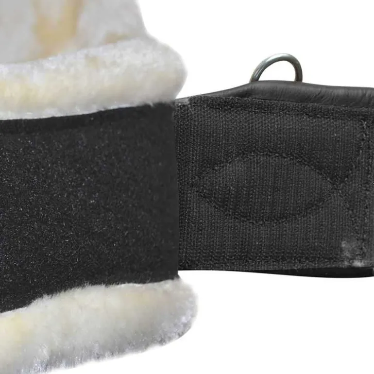 Sangle bavette mouton CANTER