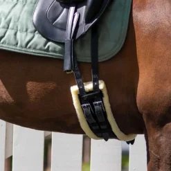 Sangle de dressage Ontario QHP