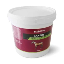 Santos poudre Paskacheval