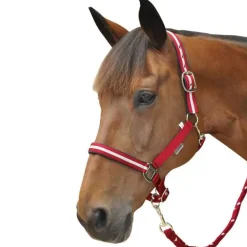 Set licol + longe lurex Canter