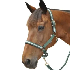 Set licol + longe lurex Canter