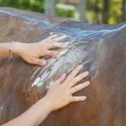 Shampoing Soin Aketus