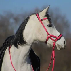 Sidepull Biotack T de T