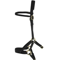 Sidepull Biotack T de T