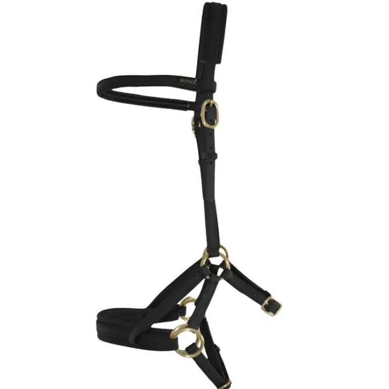 Sidepull Biotack T de T