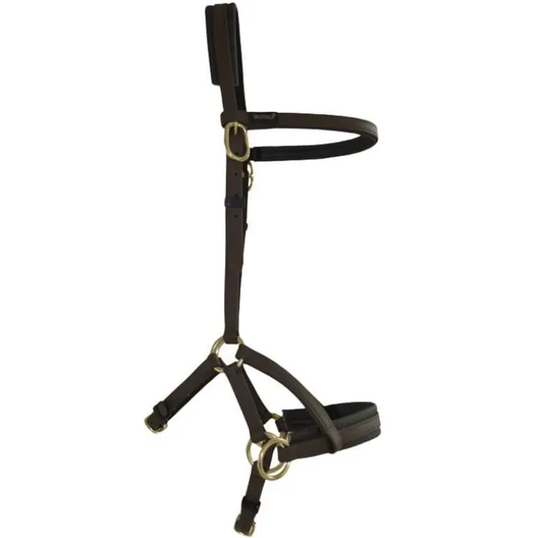 Sidepull Biotack T de T