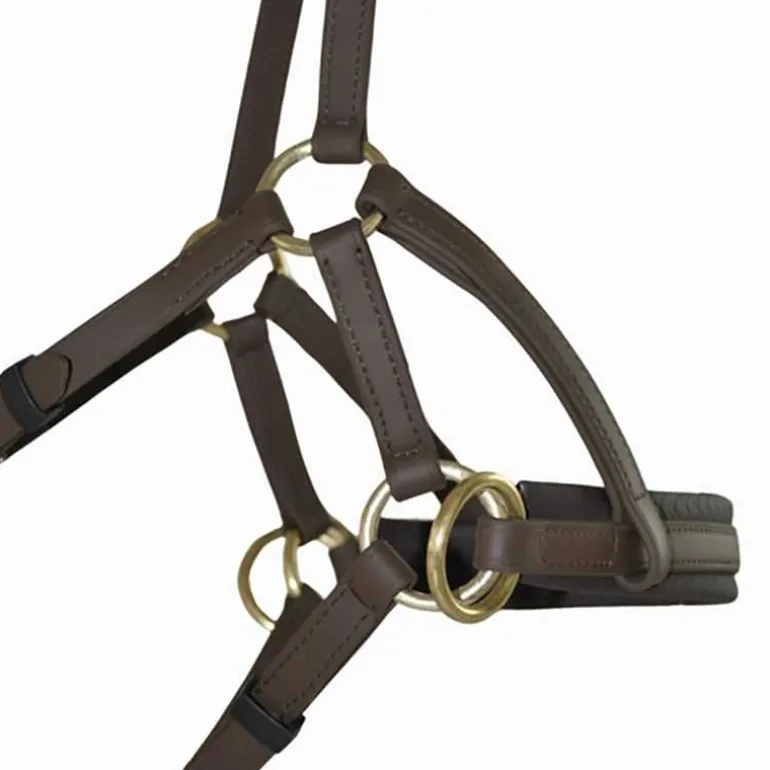 Sidepull Biotack T de T