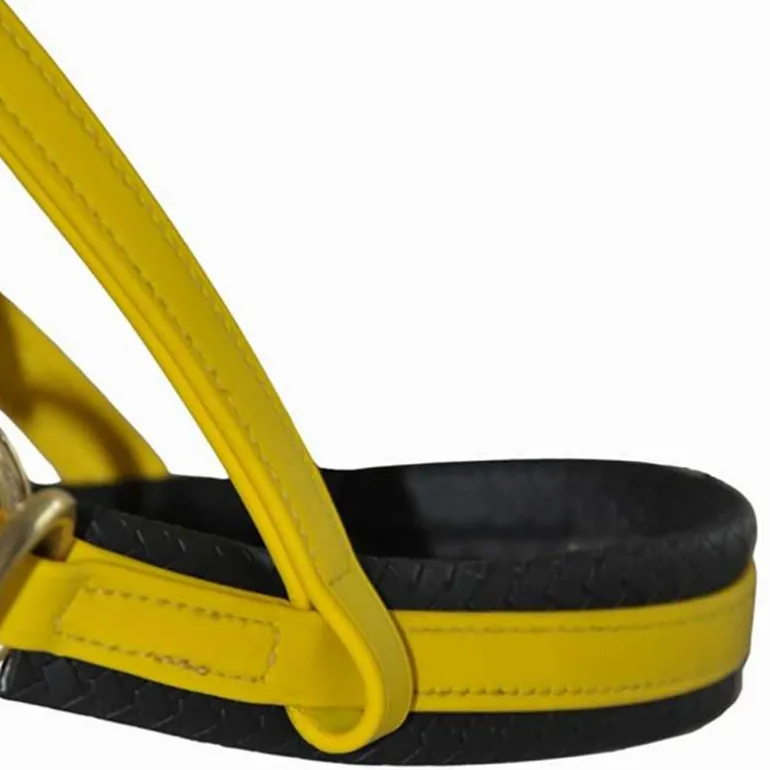 Sidepull Biotack T de T