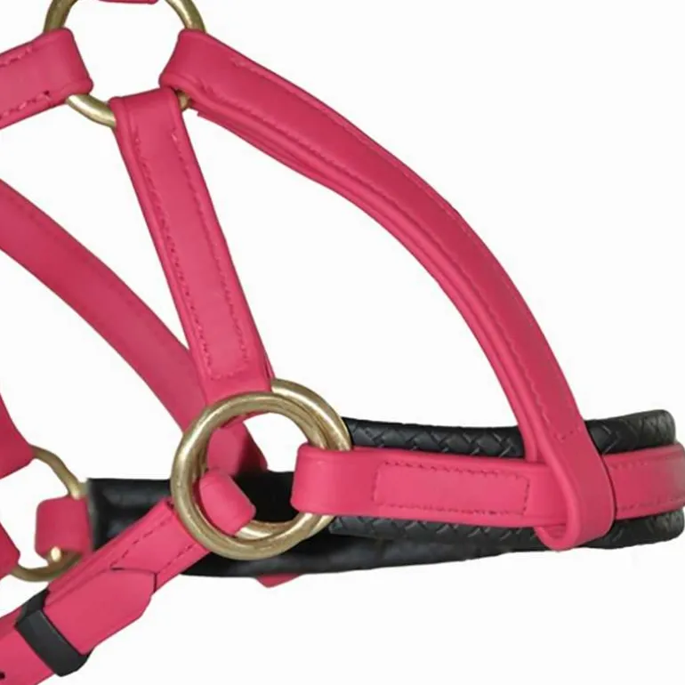 Sidepull Biotack T de T