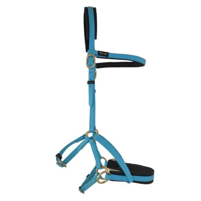 Sidepull Biotack T de T