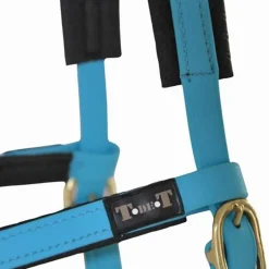 Sidepull Biotack T de T