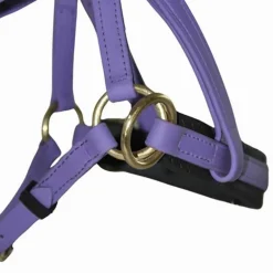 Sidepull Biotack T de T