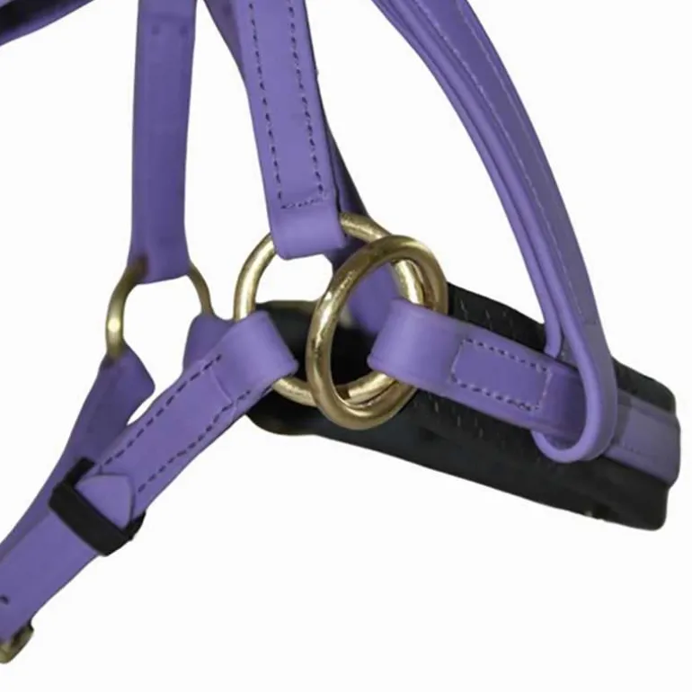 Sidepull Biotack T de T