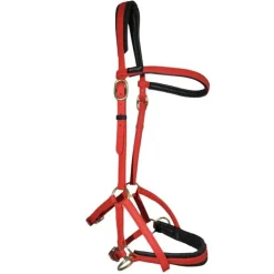 Sidepull Biotack T de T