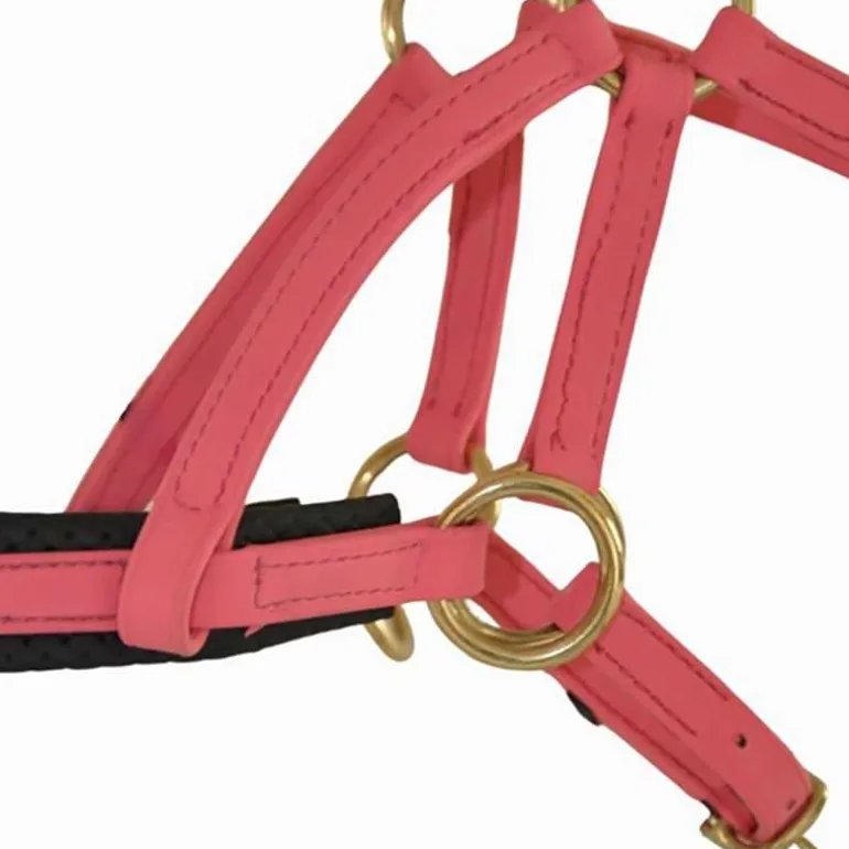 Sidepull Biotack T de T