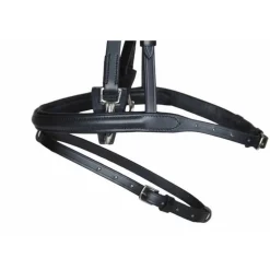 Sidepull no more T de T