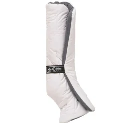 Sous Bandes Anatomic Antérieur Veredus