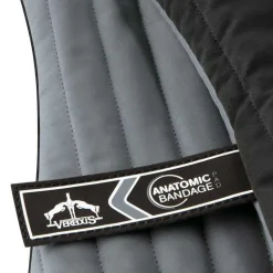 Sous Bandes Anatomic Antérieur Veredus