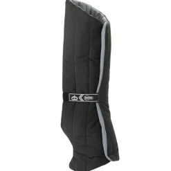 Sous Bandes Anatomic Postérieur Veredus