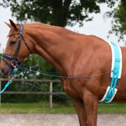 Surfaix de travail Color QHP