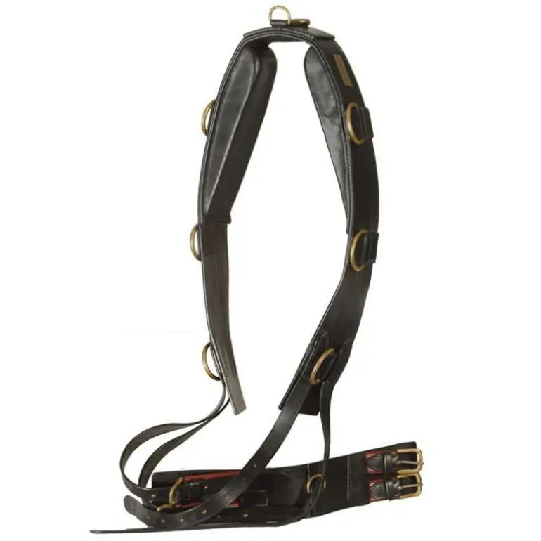 Surfaix de travail en cuir Canter