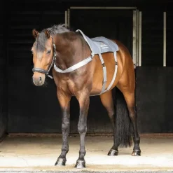 Tapis de massage Equilibrium Therapy