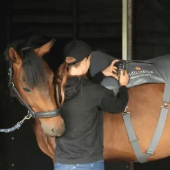 Tapis de massage Equilibrium Therapy