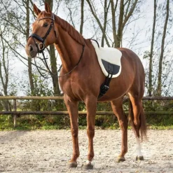 Tapis de monte à cru Ontario