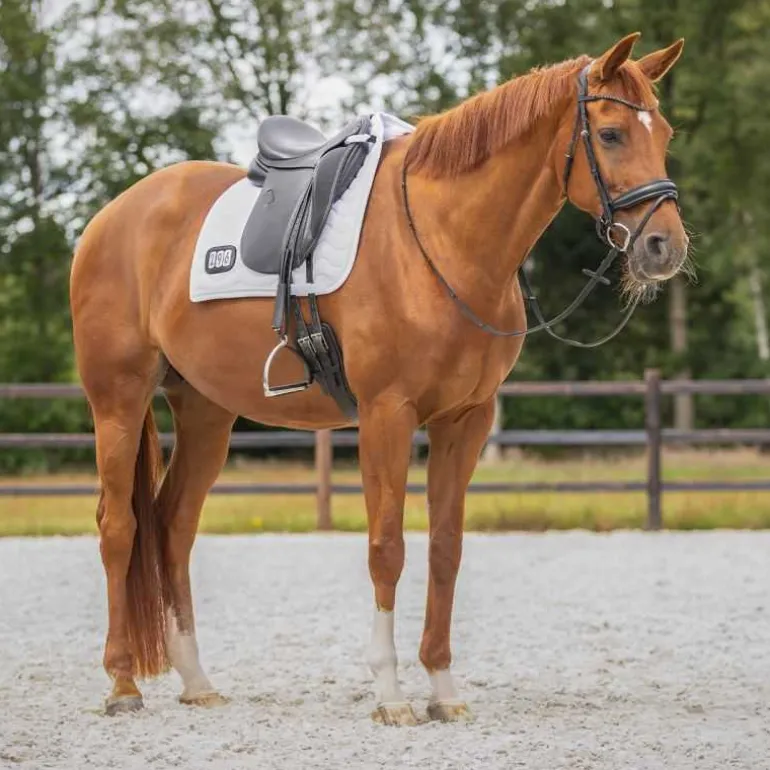 Tapis de selle Numéro QHP