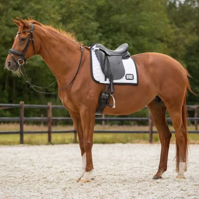 Tapis de selle Numéro QHP