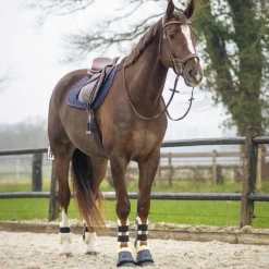 Tapis de selle Sensisoft QHP