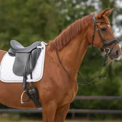 Tapis de selle Sparkle QHP