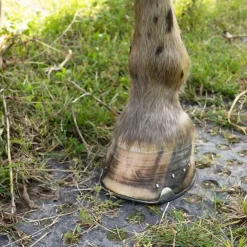 Tapis de sol Belmondo Flix sols naturels