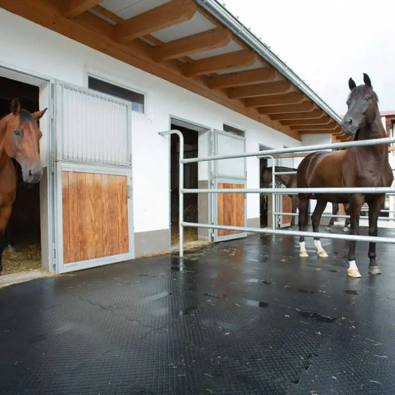 Tapis de sol zones humides Belmondo Paddock