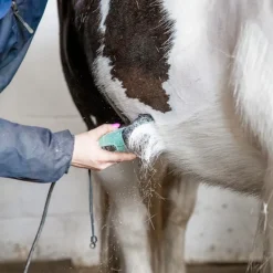 Tondeuse Lister Star