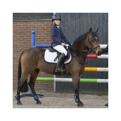 Veste de concours Junior Perry QHP